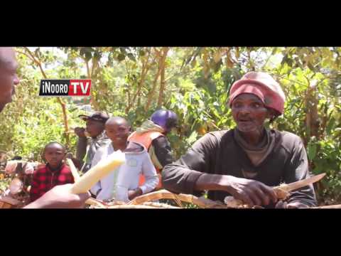 "Mbeca ciakwa ciariirwo ni mori..." Mwendia wa igwaa, Ruaka