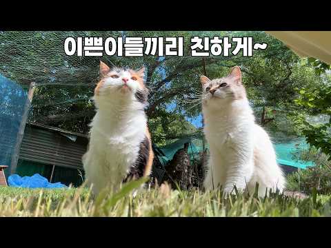 이쁜이들끼리 친하게 지내요.