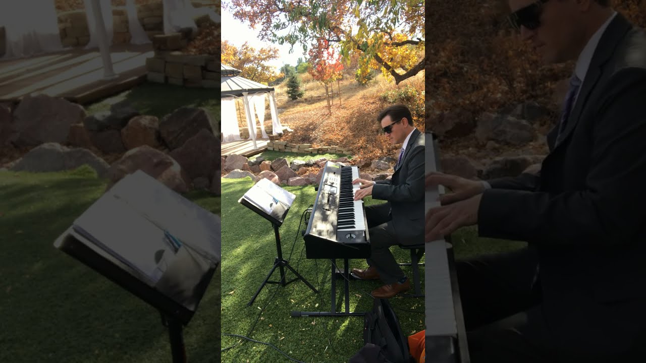 Promotional video thumbnail 3 for Tanner Palmer
