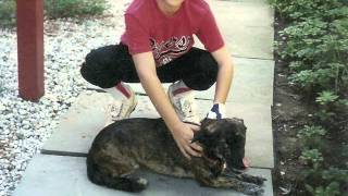 I Remember - Miggs &amp; Tha Monsta ft. Motha Bug (Prod. by Tha Monsta)