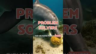 Why DOLPHINS are the "GENIUSES" of the OCEAN🐬✨#SHORT