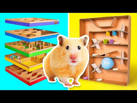 Coolest Crafts For Active Hamsters || DIY Mazes From Cardboard
