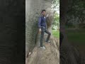 Status New Status Happy Status Status Video Whatsapp Status Status