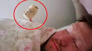 When Baby Animals and Humans Being Overdramatic 😂