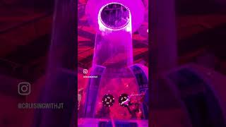 Aqua Action Sneak Peek 👀 #shorts #RoyalCaribbean #IconOfTheSeas #Aquadome #AvaMax #CruisingWithJT