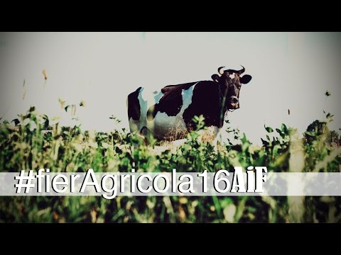 FierAgricola, il punto di riferimento per il mondo agricolo