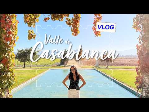 Valle de Casablanca - Tour por um dos complexos de vinícolas mais tradicionais do Chile!