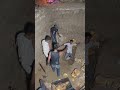 Har Har Mahadev Harharmahadev Aghoribaba Viralvideo Jaishreeshyam386