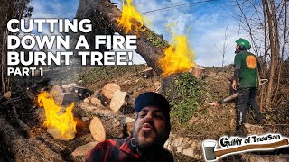 Cutting down a Fire Burned Tree with Randy! | Part 1