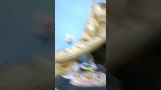 Download lagu LONGSOR DI BANJARWANGI RENGGUT NYAWA SEORANG ANAK, TNI-POLRI DAN PEMERINTAH DESA BERGERAK CEPAT mp3