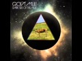 Gov't Mule - Kind Of Bird (Live)