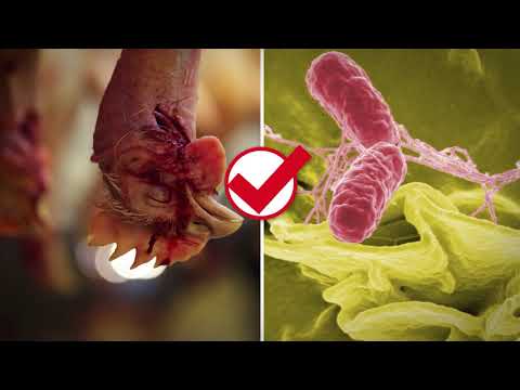 Salmonella outbreaks: Canada vs. Sweden