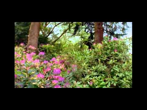 Leise tönt die Abendglocke .mp4