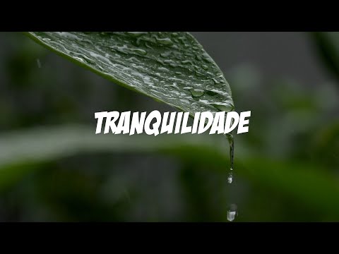 ?Descubra a Magia da Música Relaxante: Transforme o Seu Dia!