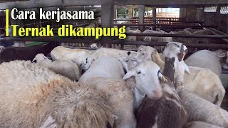 Download lagu How to Do It: Work in a Big City or Abroad While Running a Livestock Farm Back Home mp3 Download lagu How to Do It: Work in a Big City or Abroad While Running a Livestock Farm Back Home mp3