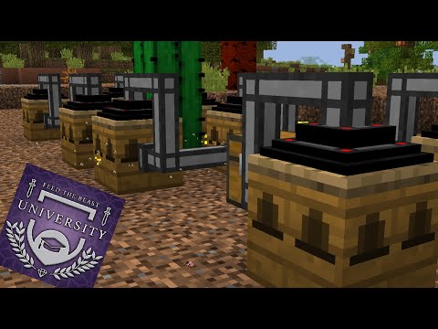 Forestry Bees Start - Mini Episode - FTB University