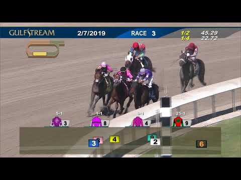 Gulfstream Park February 7, 2019 Race 3
