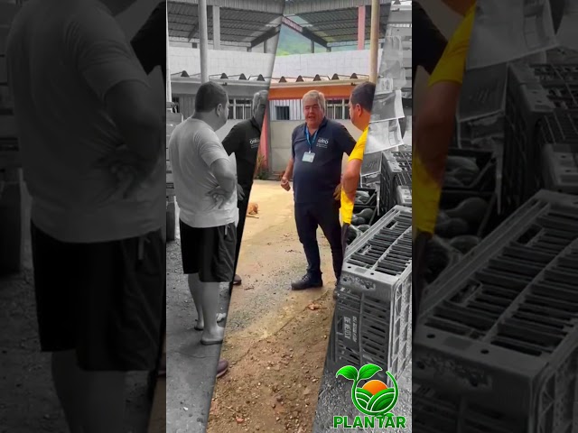'