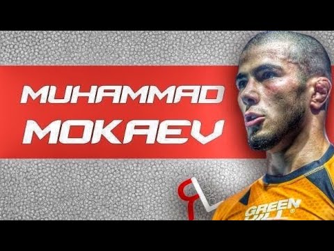 Muhammad “The Punisher” Mokaev road to UFC