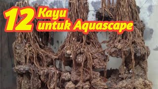 Download lagu Jenis kayu untuk aquascape yang mudah ditemukan || jenis kayu yang sering digunakan untuk aquascape mp3
