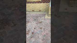 Block Paving Driveway