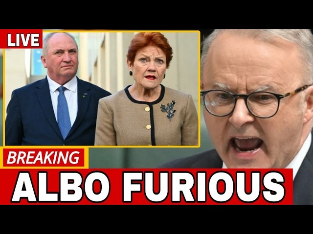 ALBANESE UNDER PRESSURE AS PAULINE HANSON’S ONE NATION WINS PRAISE FOR ITS HARDLINE IMMIGRATION MESSAGE 2 sddefault