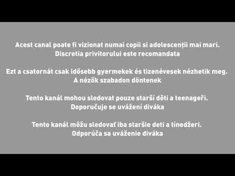 [Discretions] Junior XL CEE - Start-up (Nr.1)