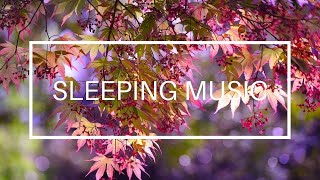 Soothing Music, Relaxing, Calming, Comforting, Sleep and Meditation, Study Music