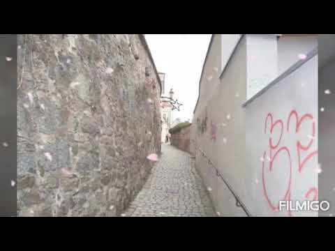 DUOTÓN1 - RÝŽOVÝ NÁKYP   20 06  2020