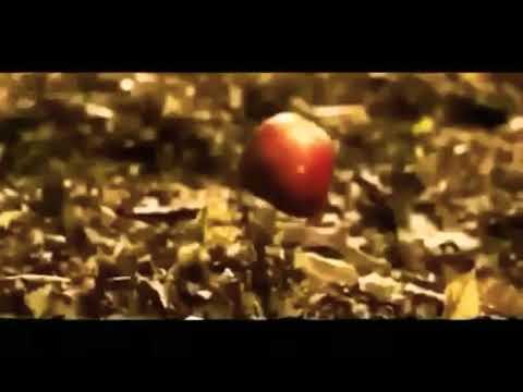 The Vampire diaries season 7 promo