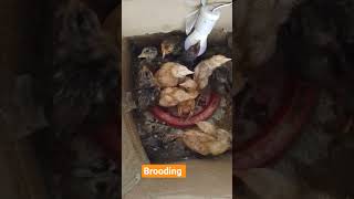 Download lagu https://www.facebook.com/profile.php?id=61581273713451 mp3 Download lagu https://www.facebook.com/profile.php?id=61581273713451 mp3