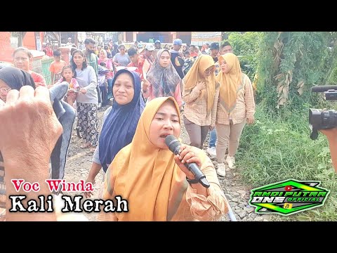 ANDI PUTRA 1 Kali Merah Voc Winda Live Sukamandi Tgl 23 Juni 2023