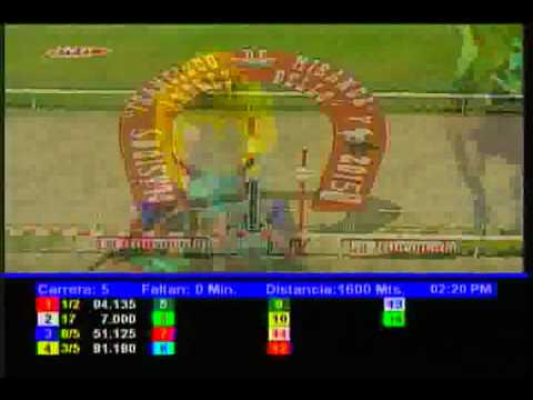 Resumen Domingo, 11 de Enero de 2015 - La Rinconada