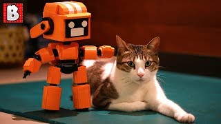 LEGO Robot and Cute Cat! What else do you want?! TOP 10 MOCs by Brick Vault