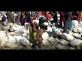 Mother Bathing Kid In Freezing Water Of River Ganga At Gangotri