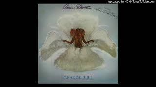 Paradise Bird