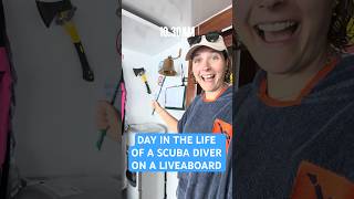 Day In The Life Of A Scuba Diver On A Liveaboard