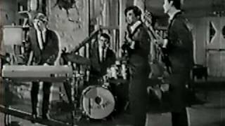 The Standells on 