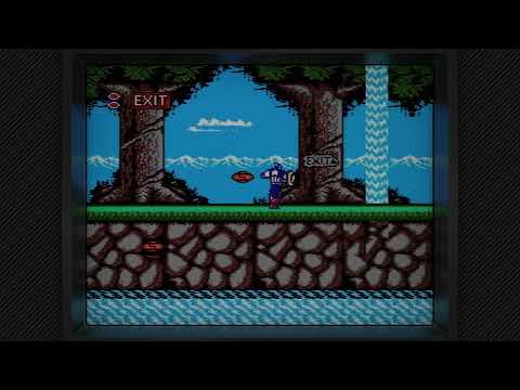 CyberLab_NES_Slot_Mask_II_for_Core_Blargg_S-Video_Filter