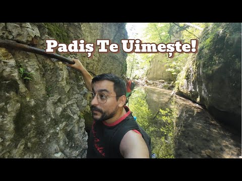 Nu Vei Crede Ce Am Găsit în Padiș!