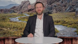 זה הכלל החשוב שלימדו אותנו חז"ל בקשר למורים בבית הספר | הרב דן טיומקין