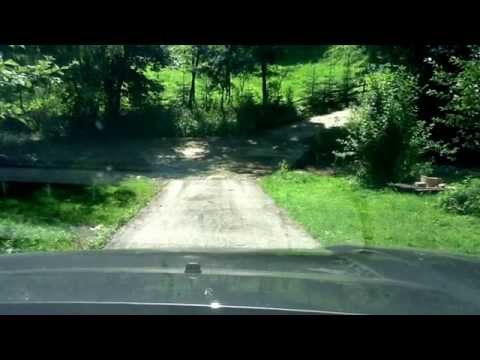 Zielona polana wyjazd