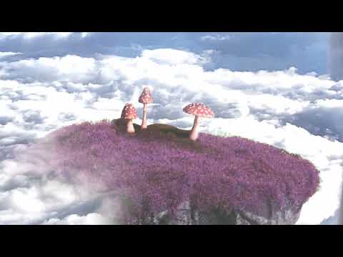 Tr3yworld Ddot - The Intro