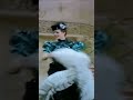 LIDO CAN CAN DANCERS
