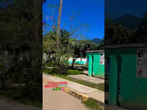 La Alicia Santiago Jocotepec Choapam Oaxaca 2024 😱😱⛰️🌳🌳💖👌