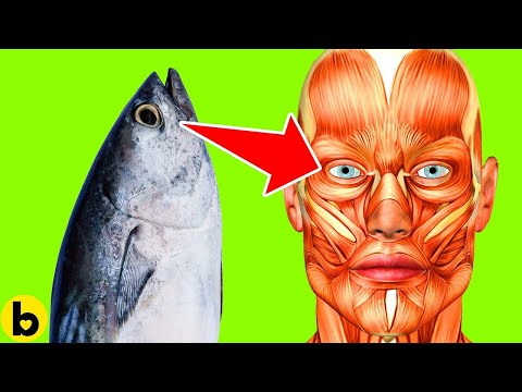 If You Eat Tuna Every Day For A Week This Will Happen To Your Body