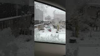 １月13日　富山市　雪⛄
