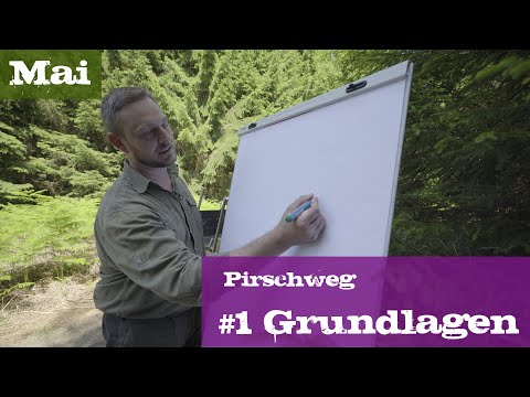 Pirschweg #1 Grundlagen | Mai | Ein Jagdjahr durchs Jagdrevier