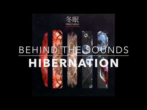 Hibernation: Behind The Sounds 01 ‘Mix It With The Relish’