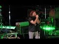 Pearl Jam: Animal [HD] 2010-05-20 - New York, NY